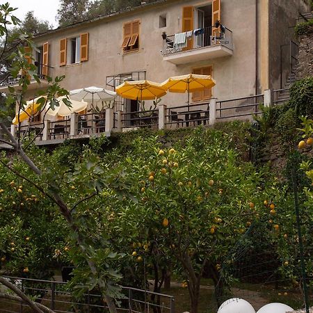 Hotel La Casa Dei Limoni Monterosso al Mare Zewnętrze zdjęcie