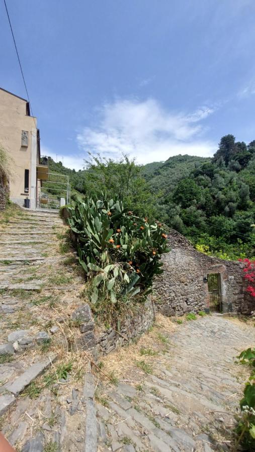 Hotel La Casa Dei Limoni Monterosso al Mare Zewnętrze zdjęcie