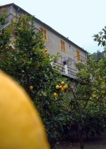 Hotel La Casa Dei Limoni Monterosso al Mare Zewnętrze zdjęcie